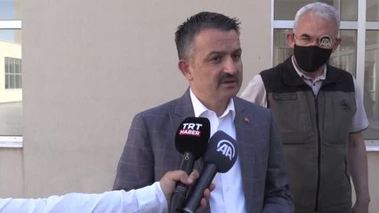 Pakdemirli; (Adana'daki orman yangını) Vatandaşlarımızın ekili alanları zarar görmeden, ekiplerimizin gayretli çalışmalarıyla, 3 hektar gibi az bir...