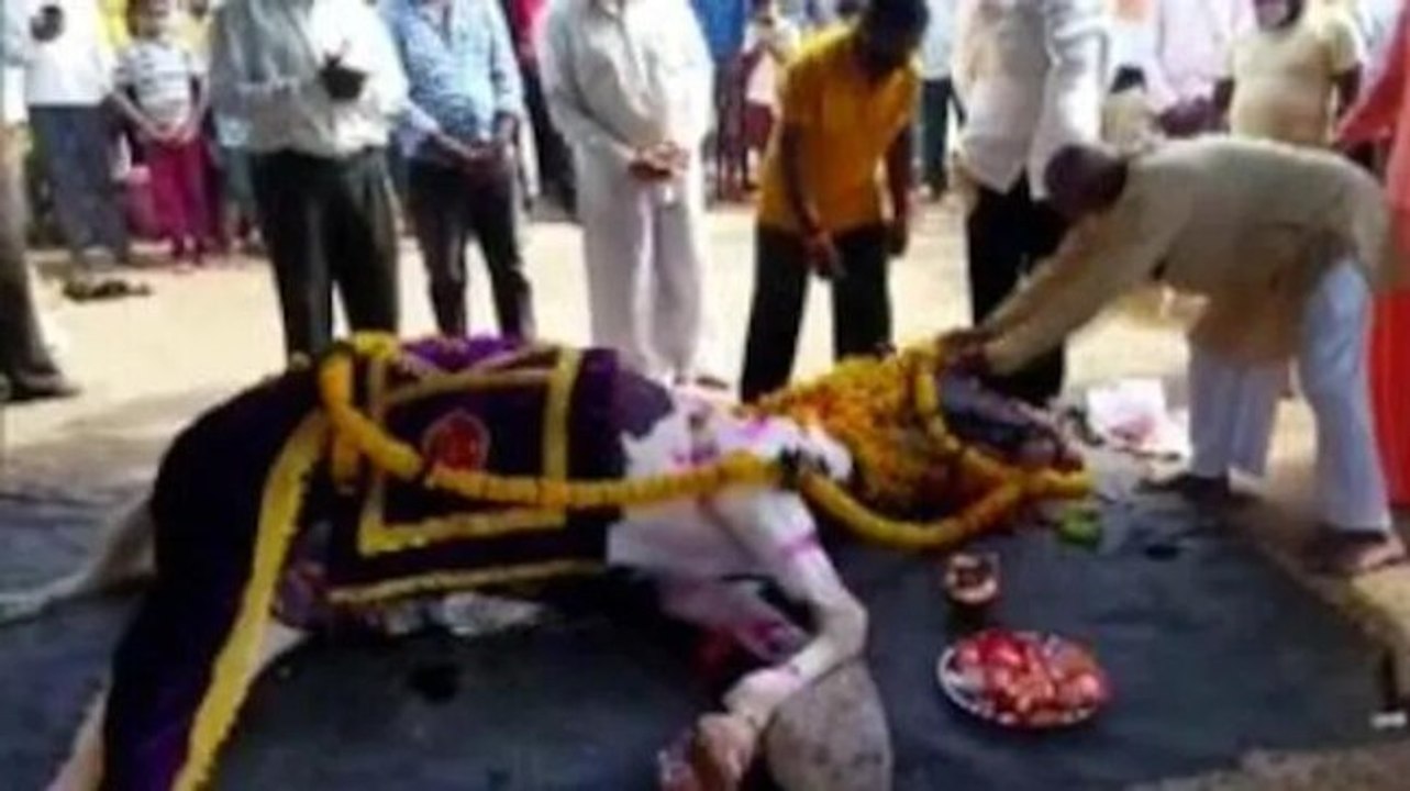 Hundreds gather for funeral of a horse in Karnataka's Belagavi, Covid norms go for toss