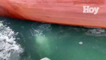 Ocupan 23 paquetes presumiblemente cocaína escondidos debajo de buque en Puerto de Haina