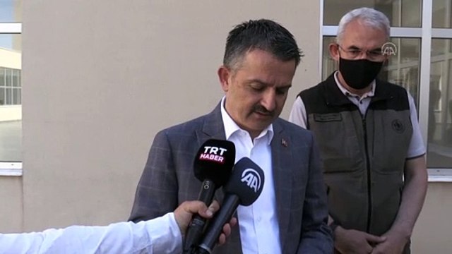 HATAY - Pakdemirli; (Adana'daki orman yangını) Vatandaşlarımızın ekili alanları zarar görmeden, ekiplerimizin gayretli çalışmalarıyla, 3 hektar gibi az bir alan yanarak, yangını saat 14.45 itibarıyla kontrol altına aldık.'