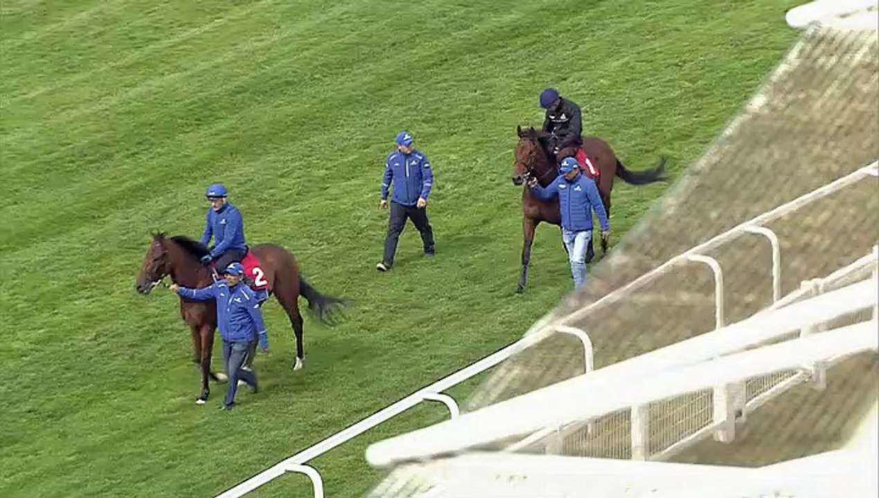 One Ruler Ridden By James Doyle