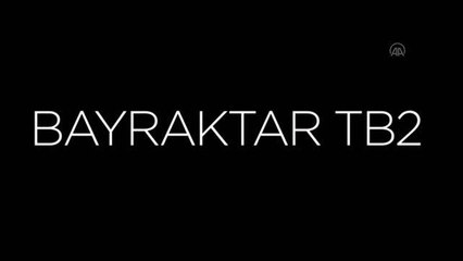 Bayraktar TB2 SİHA'lar Avrupa Birliği semalarında uçacak