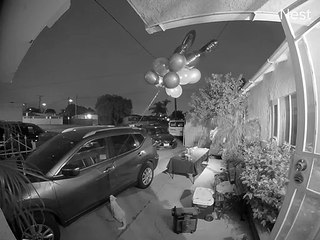 Rambunctious Kitty Releases Birthday Balloons