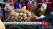 বাজারে উঠতে শুরু করেছে শ্রীমঙ্গলের সুমিষ্ট আনারস - Pineapple Market In BD - Somoy TV