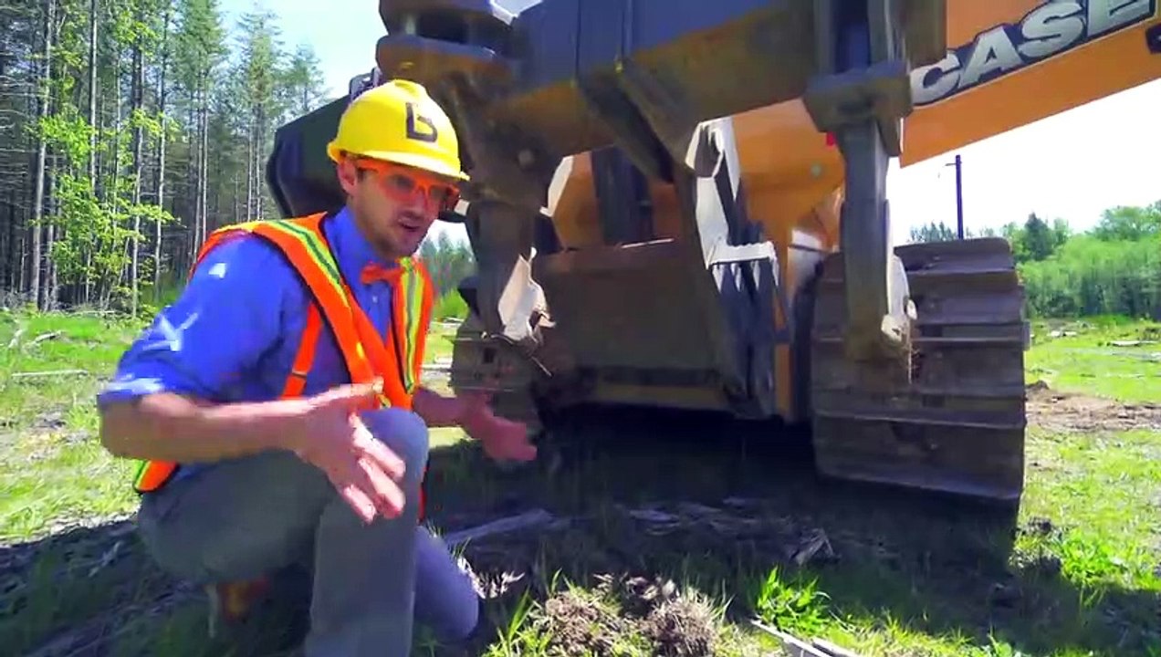 Blippi visita un zoológico (Phoenix Zoo) | Compilación | Videos de animales para niños part 2