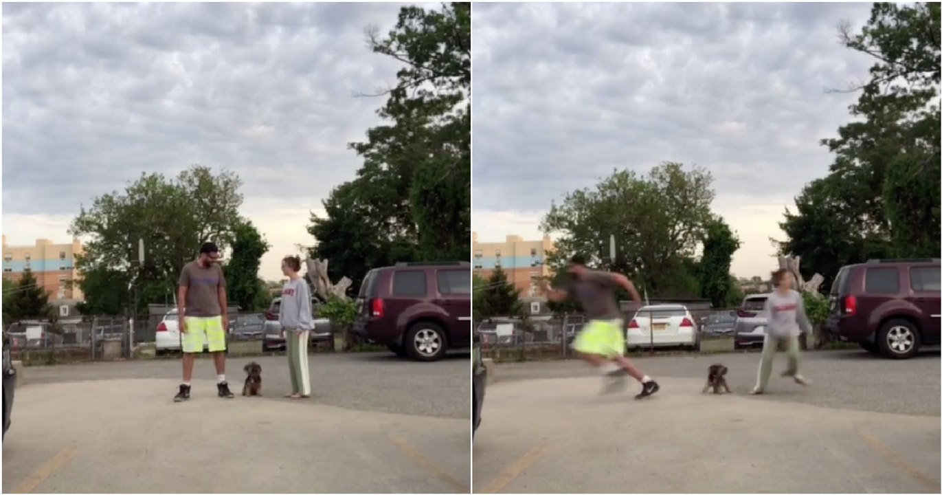 Donos correm em direções opostas para ver atrás de quem corre o seu cão
