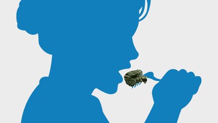 3 Foods That Could Activate Your Longevity Genes, According to a Neurosurgeon