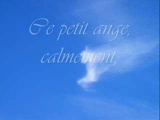 cécile petit nicolas