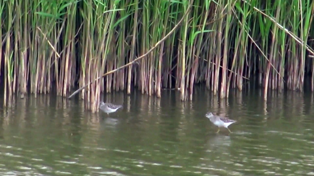 Egy természeti kis csoda, amely az éghajlatváltozásnak köszönhető