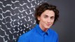Timothée Chalamet to Star as Young Willy Wonka in Upcoming Warner Bros. Film