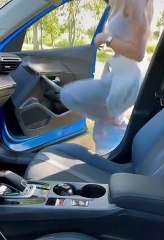 Tu salis pas ma voiture !