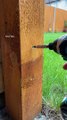 Retirer une vis bloquée dans un morceau de bois