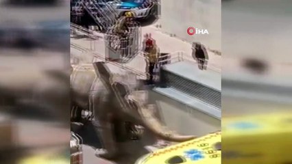 - Kayıp adamın cesedi dinozor heykelinin içinden çıktı