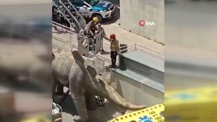 Kayıp adamın cesedi dinozor heykelinin içinden çıktı