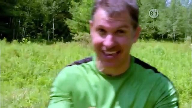 Wild Kratts Falcon City Wild Ponies