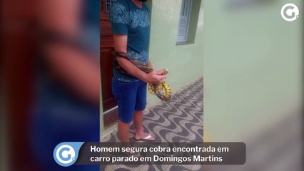 Homem segura cobra encontrada em carro parado em Domingos Martins