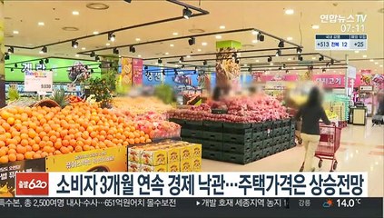 소비자 3개월 연속 경제 낙관…주택가격은 상승전망