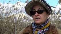 Rumänien: Klimawandel schafft Vogelbiotop