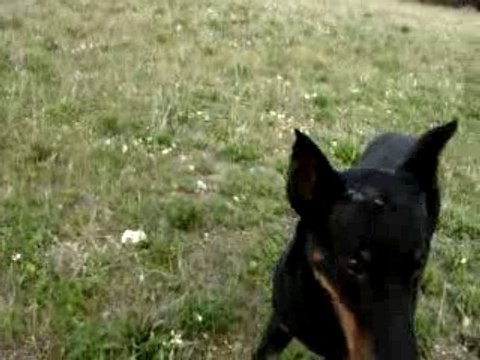 moi je joue avec papa sam hier