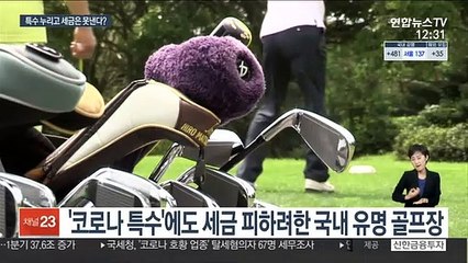 코로나 특수에 회삿돈 빼돌려 호화생활…67명 세무조사