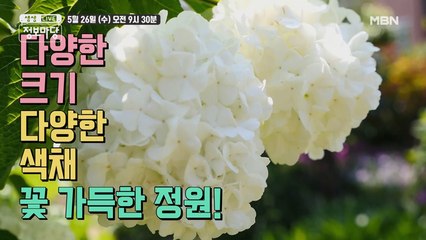 생생 정보마당 [888회] - 실속 있는 수요일