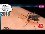 Camera Cận Cảnh 2018 - Tập 43: Tăng cường phòng chống sốt xuất huyết