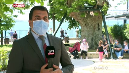 Çengelköy'ün 184 yıllık tarihi çınar ağacı yeniden canlandı