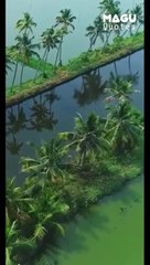 mynna bgm with natural and travel WhatsApp status Tamil, amazing videos