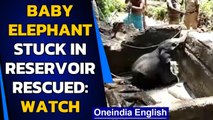 Elephant falls in the reservoir, wildlife officials rescue him| Viral Video| Oneindia News
