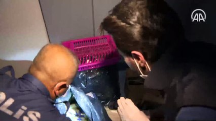 Narkotik operasyonu: 630 adrese baskın