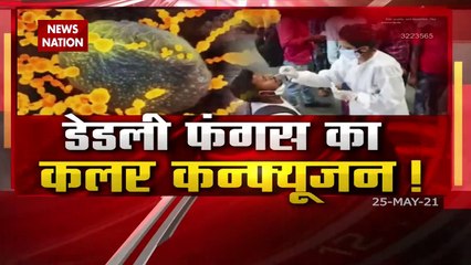 Answer to every question on Deadly Fungus, Dr. Neha Exclusive