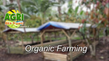 “ORGANIC FARMING” Ep.48 AGRI Ako D’yan