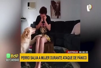 Australia: perro salvó a mujer con autismo durante ataque de pánico