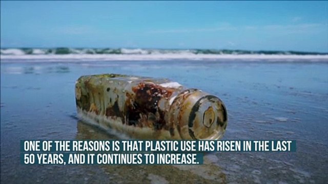 More Plastic Than Fish in the Oceans by 2050?