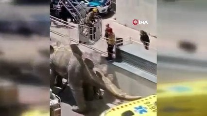 Dinozor heykelinin içinden ceset çıktı