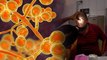 ಭಾರತದಲ್ಲಿ ಪತ್ತೆಯಾಗಿದೆ ಅತ್ಯಂತ ಅಪಾಯಕಾರಿ ಹಳದಿ ಫಂಗಸ್ | Oneindia Kannada