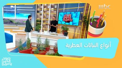 خطوات مهمة يجب أن تفعلها عند زراعة النباتات العطرية في المنزل