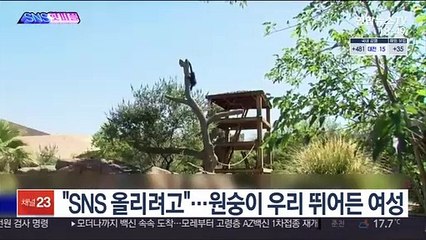 [SNS핫피플] "SNS 올리려고"…원숭이 우리 뛰어든 여성 外