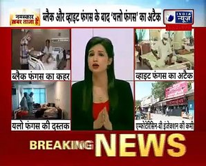 Yellow Fungus Scare ब्‍लैक और व्‍हाइट के बाद देश में यलो फंगस का अटैक, पहले से है ज्‍यादा खतरनाक
