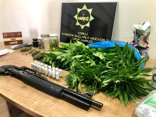 Tekirdağ'da evde kenevir yetiştiriciliğine eş zamanlı operasyon: 5 gözaltı