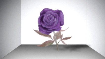 Tahiti 80 - Wallpaper For The Soul