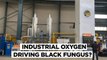 Use Of Industrial Oxygen Causing Black Fungus Spike Karnataka To Probe Source Of Mucormycosis Cases