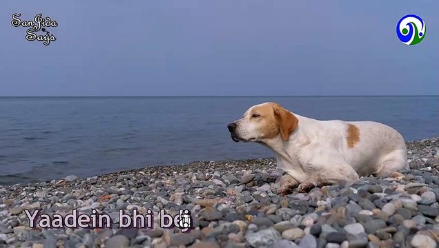 Hindi Poetry | New Emotional Hindi Poetry | Sad Poetry