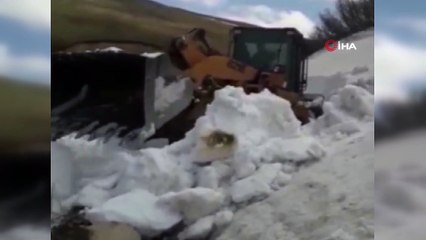 Artvin’de Mayıs ayında yaylalarda karla mücadele