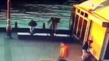 Eminönü'nde korkunç olay! Sahilde oturan adamı denize atarak öldürdü