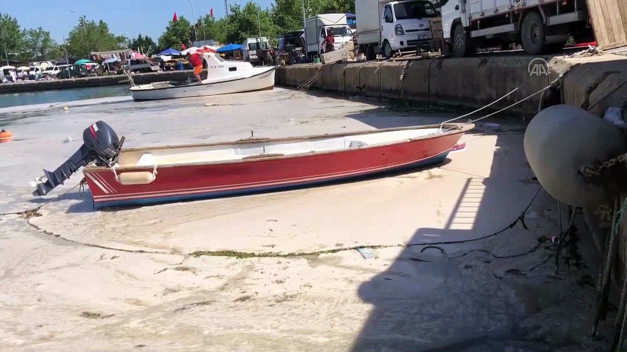 YALOVA - Sahillerini kaplayan deniz salyası rüzgarın etkisiyle dağılmaya başladı