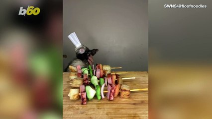 ‘Ferret Influencers’ Pull Real-World ‘Ratatouille’ With Viral Cooking Videos