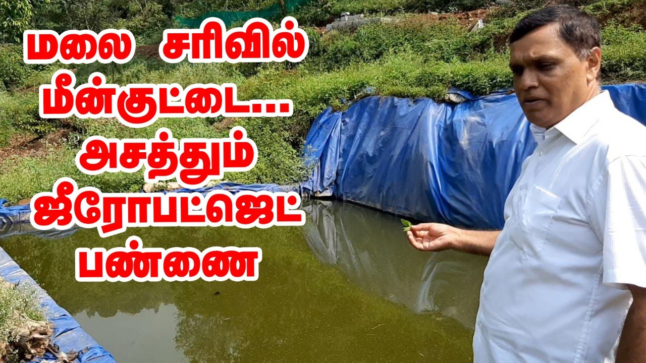 நீலகிரியில் சிறப்பான ஜீரோபட்ஜெட் பண்ணை! #ZeroBudgetFarm