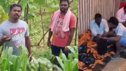 ರೈತರಿಂದ ನೇರವಾಗಿ ತರಕಾರಿ ಖರೀದಿಸಿ ರೈತರ ಕಷ್ಟಕ್ಕೆ ನೆರವಾದ ಉಪೇಂದ್ರ | Filmibeat Kannada