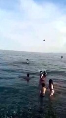 Denizdeki yavru kargaya yardım edeyim derken, yetişkin kargaların saldırısına uğradı